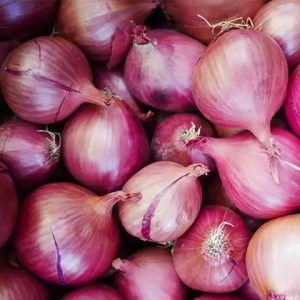 Onion