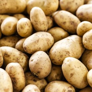 Potato