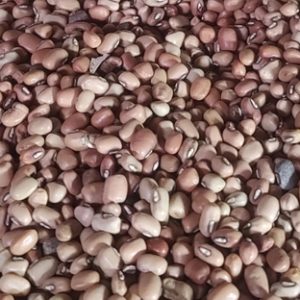 Jhunga (ଝୁଙ୍ଗା)