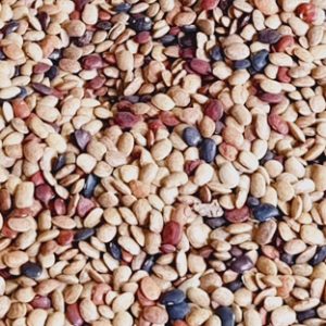 Kolatha (କୋଲଥ)