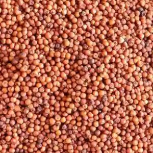 Mandia | Finger Millet (ମାଣ୍ଡିଆ)
