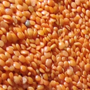 Masoor Dal (ମସୁର ଡାଲି)