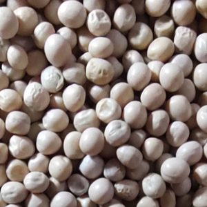 Matar Chana (ମଟର ଚଣା)